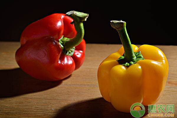 甜椒种植技术：甜椒种植管怎么管理？-图片版权归惠农网所有