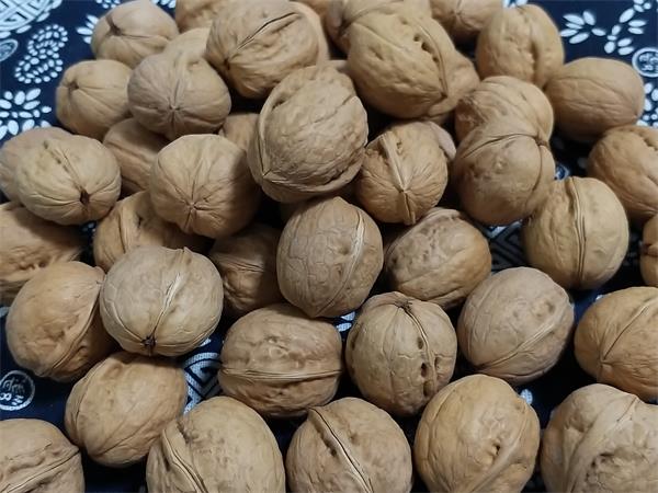 核桃树夏季土肥水管理技巧