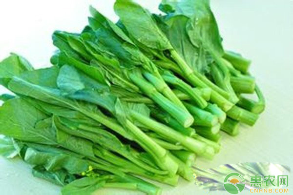 芥蓝什么时候播种？芥蓝高产栽培管理技术-图片版权归惠农网所有