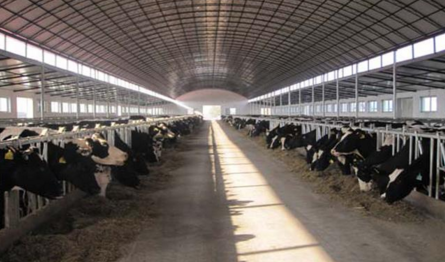 牛场的卫生处理-图片版权归惠农网所有