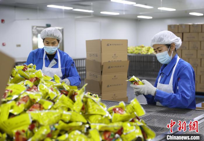 宁夏银川：粽香迎端午企业赶制忙
