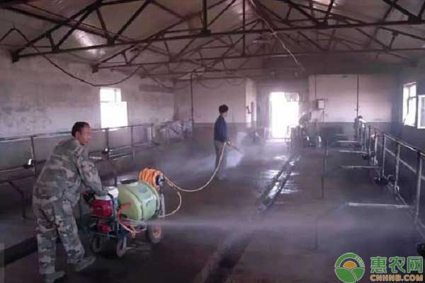 肉牛养殖消毒的方法及措施-图片版权归惠农网所有