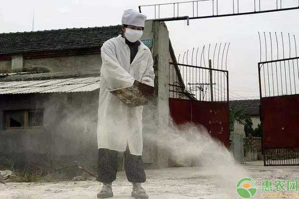 肉牛养殖消毒的方法及措施-图片版权归惠农网所有