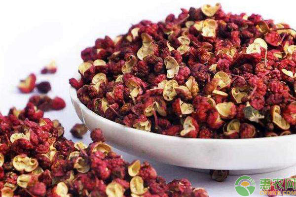 养鸡知识：生姜大葱和花椒养鸡的功效！-图片版权归惠农网所有