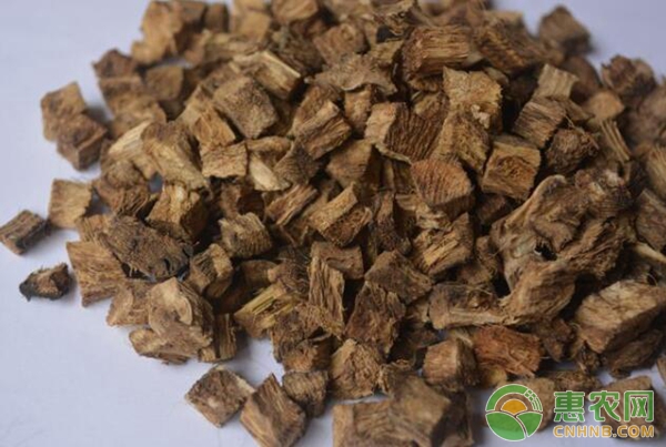 葛根人工栽培技术（一）——生物学特性-图片版权归惠农网所有