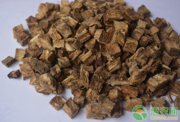 葛根人工栽培技术（三）——田间管理-图片版权归惠农网所有