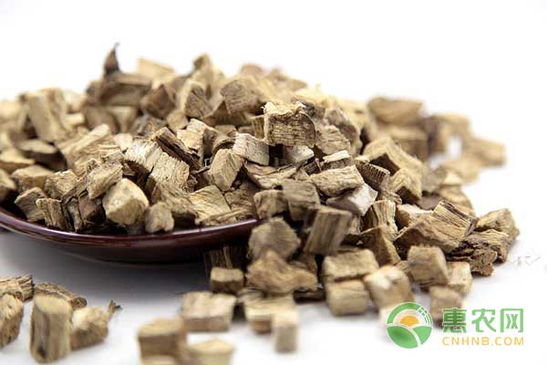 葛根怎么种？葛根高产栽培技术-图片版权归惠农网所有