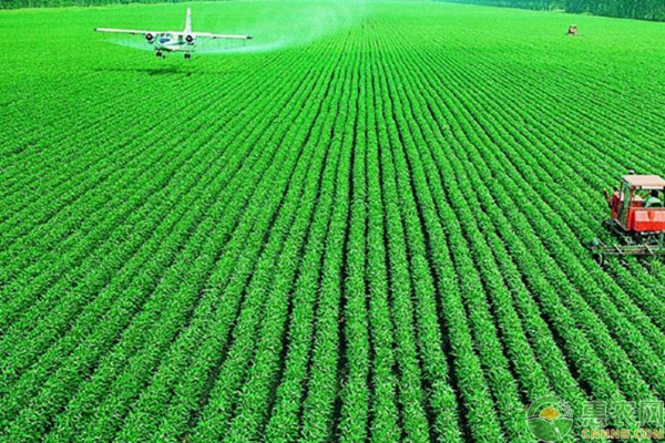 农村种大豆怎么能高产？注意这几点，大豆高产又优质-图片版权归惠农网所有