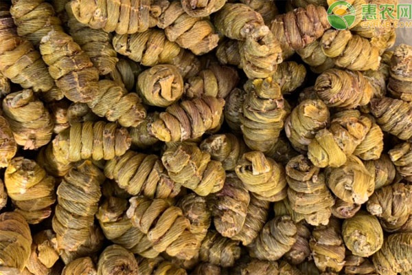 如何种植铁皮石斛？-图片版权归惠农网所有