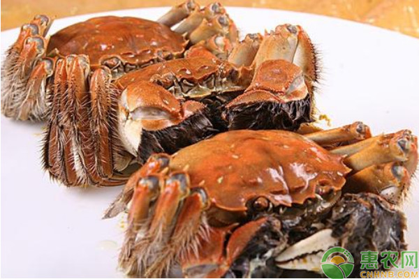 水产养殖：螃蟹“冲刺阶段”的追肥要点-图片版权归惠农网所有