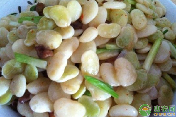 营养又好吃的白玉豆这样选种及水肥管理，产量高销路好-图片版权归惠农网所有