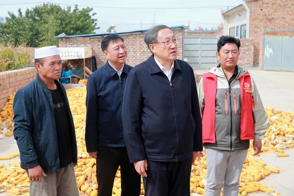 李邑飞在红寺堡区调研督导过渡期收官攻坚行动推进情况