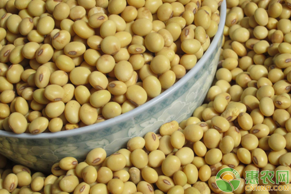 大豆高产种植：大豆“垄三”栽培技术详解-图片版权归惠农网所有