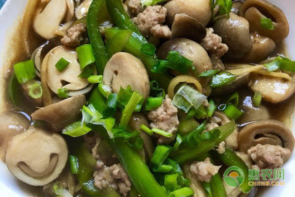 草菇的种植技术-图片版权归惠农网所有