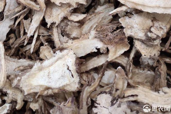 当归的栽培方法与种植技术-图片版权归惠农网所有