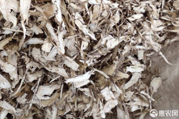 当归的栽培方法与种植技术-图片版权归惠农网所有