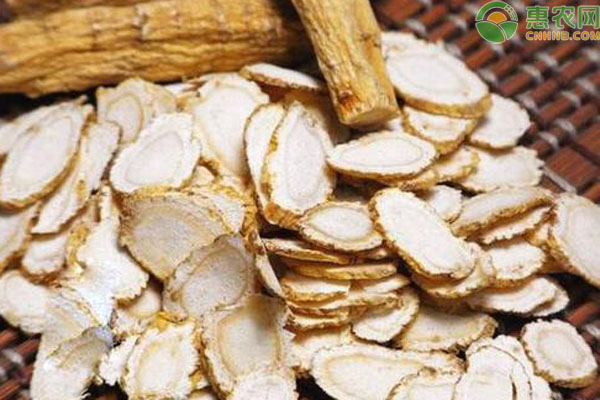 西洋参田间管理技术-图片版权归惠农网所有