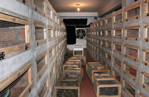 人工养蛇的几点经验总结-图片版权归惠农网所有