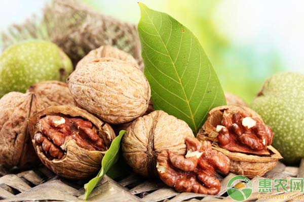 中国核桃生产概况及提升策略 中国核桃生产概况及提升策略-图片版权归惠农网所有