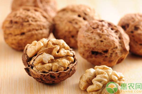 中国核桃生产概况及提升策略 中国核桃生产概况及提升策略-图片版权归惠农网所有