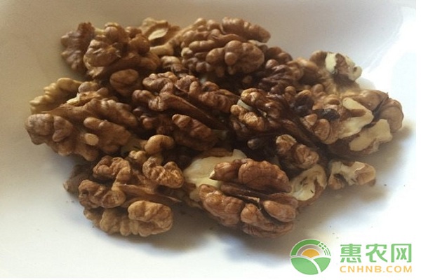 核桃丰产栽培技术 核桃种植如何实现高产?核桃高产栽培技术要点介绍-图片版权归惠农网所有