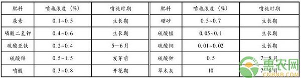 核桃树高效施肥技术要点(陇南市) 核桃树高效施肥技术要点(陇南市)-图片版权归惠农网所有