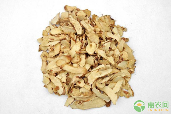 林下间作知母的高效栽培技术要点-图片版权归惠农网所有