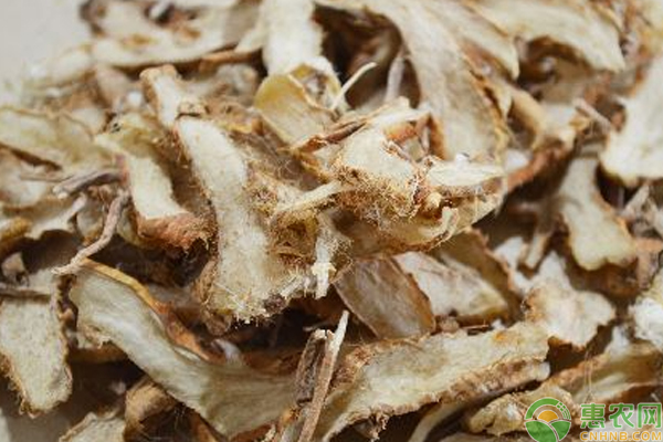 知母怎么种？知母的播种方法与种植技巧-图片版权归惠农网所有