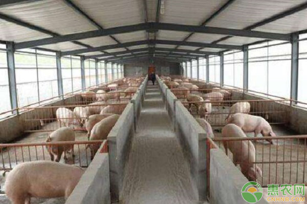 冬至禽畜怎么保暖？冬至禽畜管理事宜-图片版权归惠农网所有