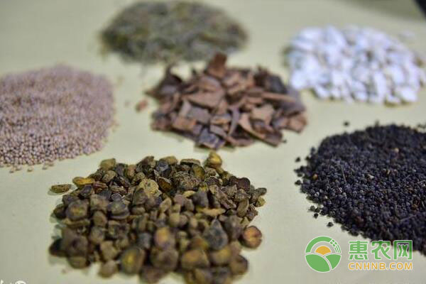 禽畜养殖技巧：如何预防禽畜动物疾病?-图片版权归惠农网所有