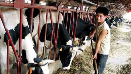 小满时节畜牧：重管理 排疫情-图片版权归惠农网所有