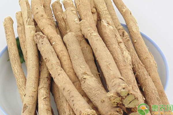 黄芪怎么种能高产？黄芪高产人工栽培技巧-图片版权归惠农网所有