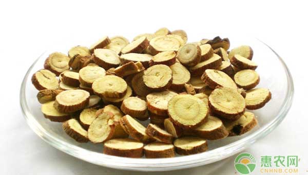 甘草适合哪些地方种植？怎么种？-图片版权归惠农网所有