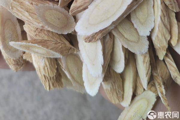 黄芪种植一般几年可收？-图片版权归惠农网所有