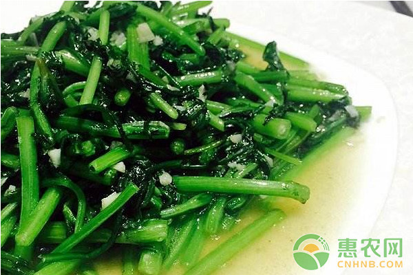 茼蒿怎么种植？茼蒿高效种植技术-图片版权归惠农网所有