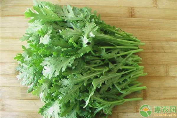 茼蒿什么时候种？茼蒿种植时间及种植方法-图片版权归惠农网所有