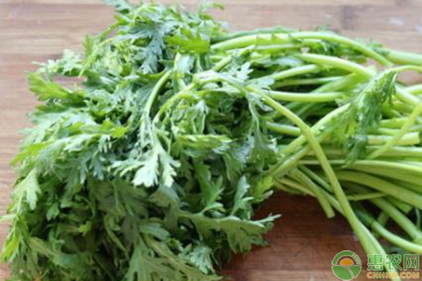 茼蒿什么时候种？茼蒿种植时间及种植方法-图片版权归惠农网所有