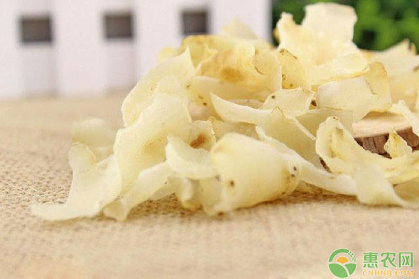 食用百合什么时候种植才比较适合？（附百合种植方法）-图片版权归惠农网所有