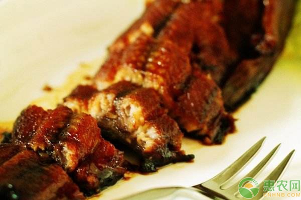 鲶鱼的养殖方法和注意事项-图片版权归惠农网所有