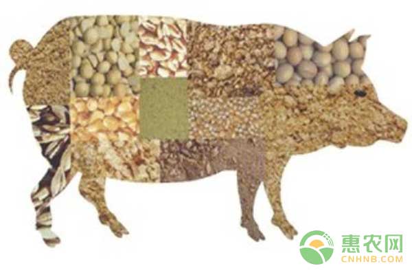 全价饲料、预混饲料和浓缩饲料都是啥？养殖户该怎么选？-图片版权归惠农网所有