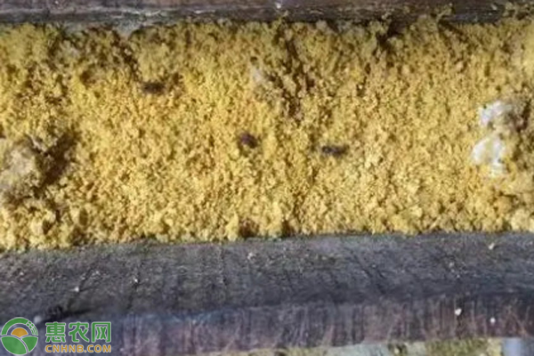 饲料的防霉与去霉措施-图片版权归惠农网所有