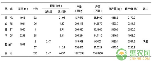 南方地区雪里蕻高产种植技术及病虫害防治 南方地区雪里蕻高产种植技术及病虫害防治-图片版权归惠农网所有