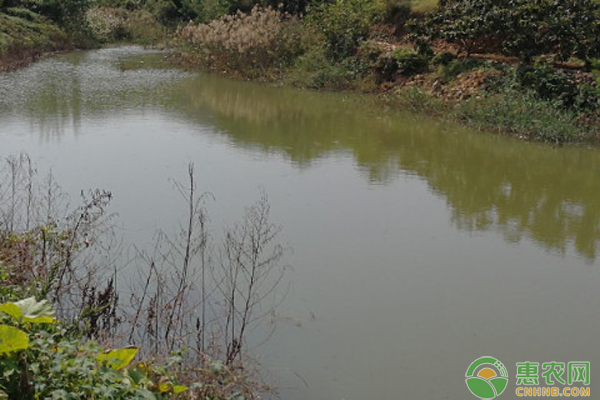 2月水产养殖管理要点-图片版权归惠农网所有