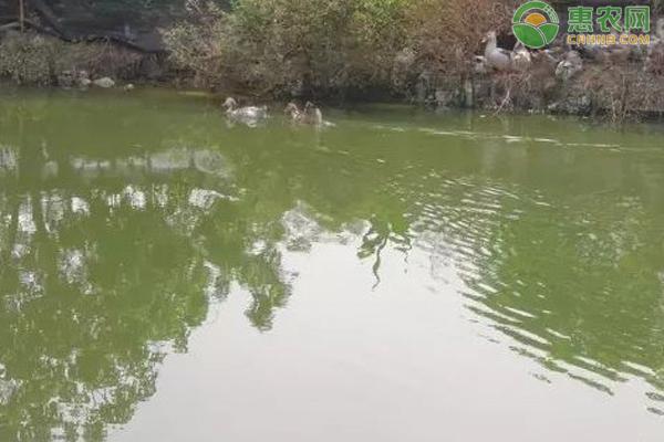 2月水产养殖管理要点-图片版权归惠农网所有