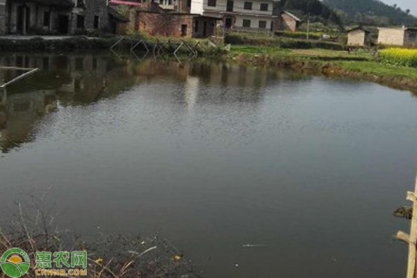 2月水产养殖管理要点-图片版权归惠农网所有