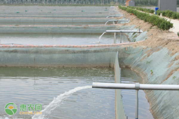 3月水产养殖管理注意事项-图片版权归惠农网所有