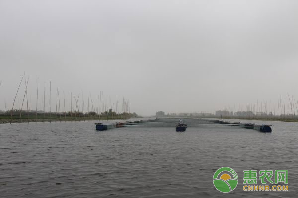 3月水产养殖管理注意事项-图片版权归惠农网所有