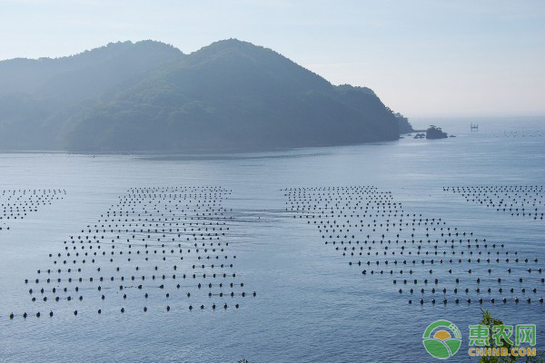 4月水产养殖管理要点-图片版权归惠农网所有