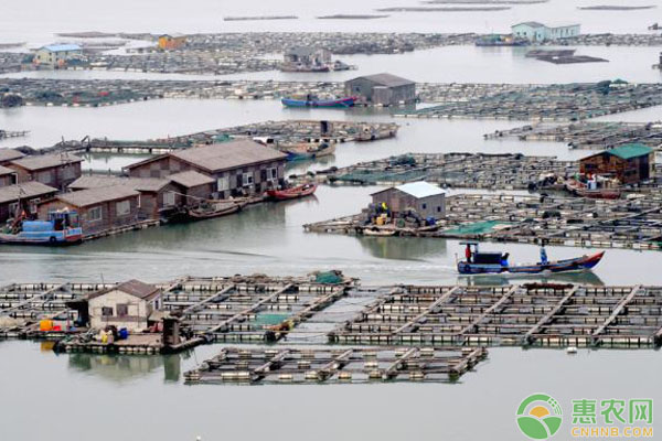 冬季水产养殖怎么管理？-图片版权归惠农网所有