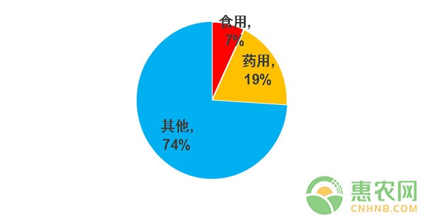 中药材决明子的种植前景及种植技术介绍-图片版权归惠农网所有